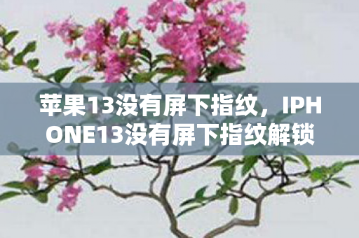 苹果13没有屏下指纹,IPHONE13没有屏下指纹解锁,解锁方式的变革与用户体验的权衡 苹果13没有屏下指纹,IPHONE13没有屏下指纹解锁,解锁方式的变革与用户体验的权衡
