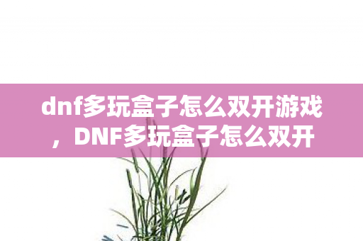 dnf多玩盒子怎么双开游戏,DNF多玩盒子怎么双开 dnf多玩盒子怎么双开游戏,DNF多玩盒子怎么双开