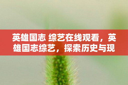 英雄国志 综艺在线观看,英雄国志综艺,探索历史与现代的交汇点 英雄国志 综艺在线观看,英雄国志综艺,探索历史与现代的交汇点