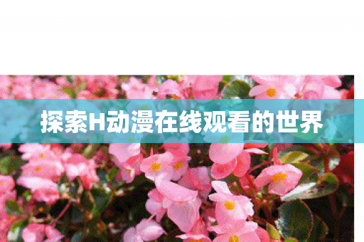 探索H动漫在线观看的世界