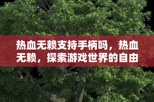 热血无赖支持手柄吗,热血无赖,探索游戏世界的自由与限制 热血无赖支持手柄吗,热血无赖,探索游戏世界的自由与限制