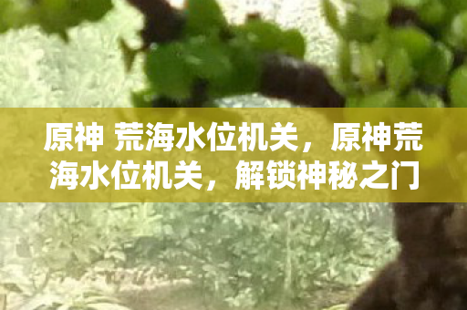 原神 荒海水位机关,原神荒海水位机关,解锁神秘之门的秘密 原神 荒海水位机关,原神荒海水位机关,解锁神秘之门的秘密
