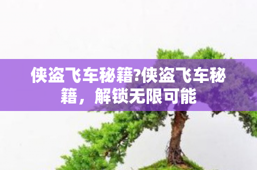 侠盗飞车秘籍?侠盗飞车秘籍,解锁无限可能 侠盗飞车秘籍?侠盗飞车秘籍,解锁无限可能