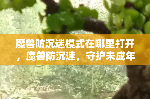 魔兽防沉迷模式在哪里打开,魔兽防沉迷,守护未成年人的游戏时光 魔兽防沉迷模式在哪里打开,魔兽防沉迷,守护未成年人的游戏时光