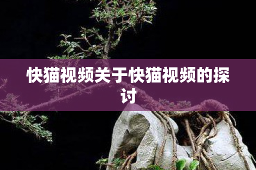 快猫视频关于快猫视频的探讨 快猫视频关于快猫视频的探讨
