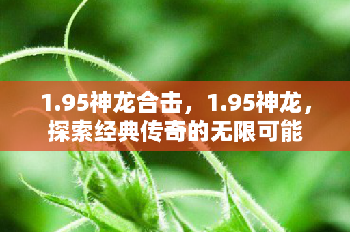 1.95神龙合击,1.95神龙,探索经典传奇的无限可能 1.95神龙合击,1.95神龙,探索经典传奇的无限可能