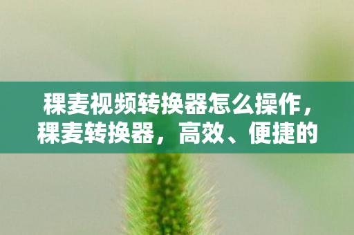 稞麦视频转换器怎么操作,稞麦转换器,高效、便捷的数据转换工具 稞麦视频转换器怎么操作,稞麦转换器,高效、便捷的数据转换工具