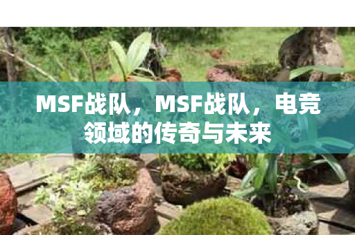 MSF战队,MSF战队,电竞领域的传奇与未来 MSF战队,MSF战队,电竞领域的传奇与未来