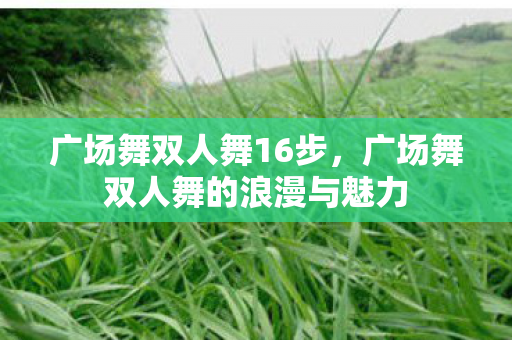 广场舞双人舞16步，广场舞双人舞的浪漫与魅力