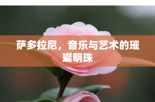 萨多拉尼,音乐与艺术的璀璨明珠 萨多拉尼,音乐与艺术的璀璨明珠