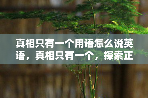真相只有一个用语怎么说英语，真相只有一个，探索正义与真相的永恒追求