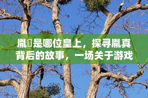 胤禛是哪位皇上,探寻胤真背后的故事,一场关于游戏世界的深度探索 胤禛是哪位皇上,探寻胤真背后的故事,一场关于游戏世界的深度探索