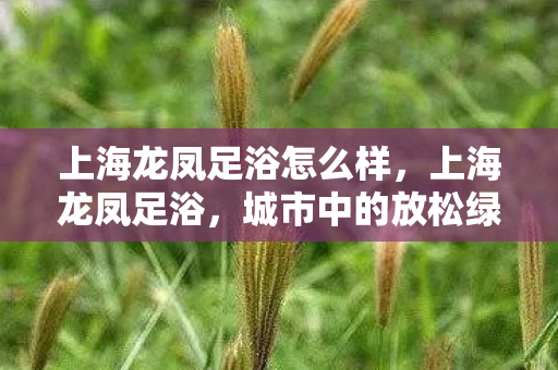 上海龙凤足浴怎么样，上海龙凤足浴，城市中的放松绿洲