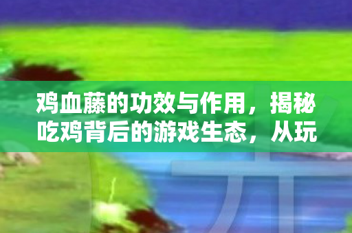 鸡血藤的功效与作用,揭秘吃鸡背后的游戏生态,从玩家到游戏开发者的深度探索 鸡血藤的功效与作用,揭秘吃鸡背后的游戏生态,从玩家到游戏开发者的深度探索