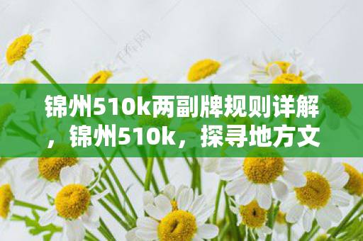 锦州510k两副牌规则详解,锦州510k,探寻地方文化的独特魅力 锦州510k两副牌规则详解,锦州510k,探寻地方文化的独特魅力