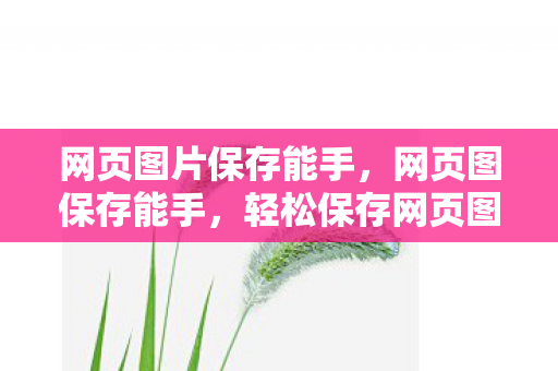 网页图片保存能手图片