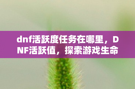 dnf活跃度任务在哪里图片