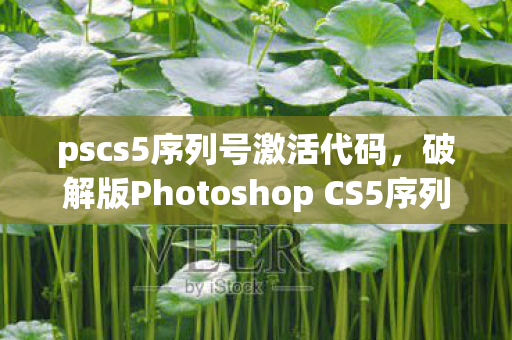 pscs5序列号激活代码,破解版Photoshop CS5序列号,合法使用与创意无限 pscs5序列号激活代码,破解版Photoshop CS5序列号,合法使用与创意无限