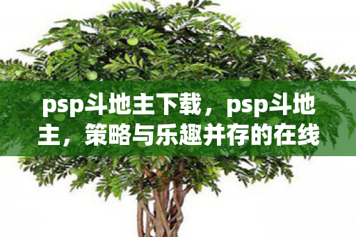 psp斗地主下载,psp斗地主,策略与乐趣并存的在线竞技 psp斗地主下载,psp斗地主,策略与乐趣并存的在线竞技