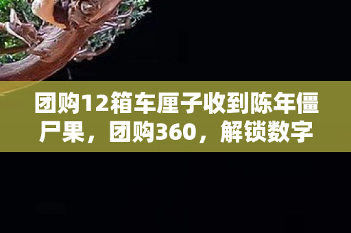 团购12箱车厘子收到陈年僵尸果,团购360,解锁数字生活的便捷与实惠 团购12箱车厘子收到陈年僵尸果,团购360,解锁数字生活的便捷与实惠