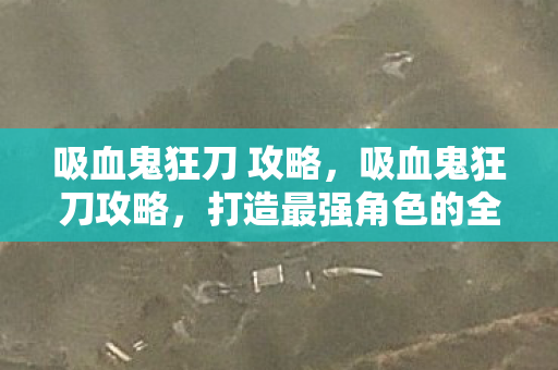 吸血鬼狂刀 攻略,吸血鬼狂刀攻略,打造最强角色的全面指南 吸血鬼狂刀 攻略,吸血鬼狂刀攻略,打造最强角色的全面指南