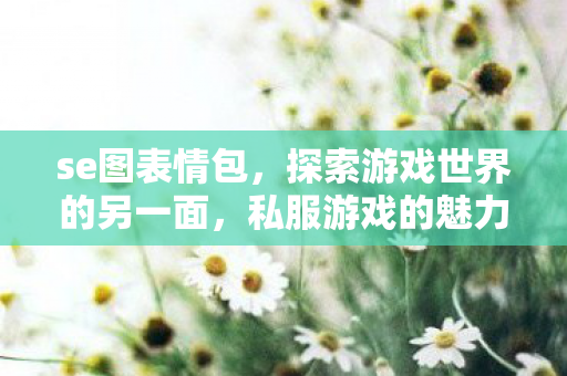 se图表情包,探索游戏世界的另一面,私服游戏的魅力与争议 se图表情包,探索游戏世界的另一面,私服游戏的魅力与争议