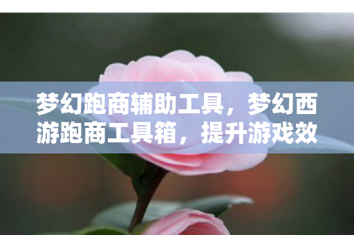 梦幻跑商辅助工具，梦幻西游跑商工具箱，提升游戏效率与体验的智能助手