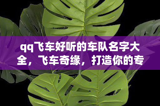 qq飞车好听的车队名字大全,飞车奇缘,打造你的专属车队名字 qq飞车好听的车队名字大全,飞车奇缘,打造你的专属车队名字
