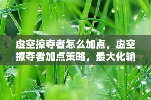 虚空掠夺者怎么加点,虚空掠夺者加点策略,最大化输出与生存能力的平衡 虚空掠夺者怎么加点,虚空掠夺者加点策略,最大化输出与生存能力的平衡