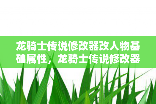 龙骑士传说修改器改人物基础属性，龙骑士传说修改器，解锁无限可能的冒险之旅