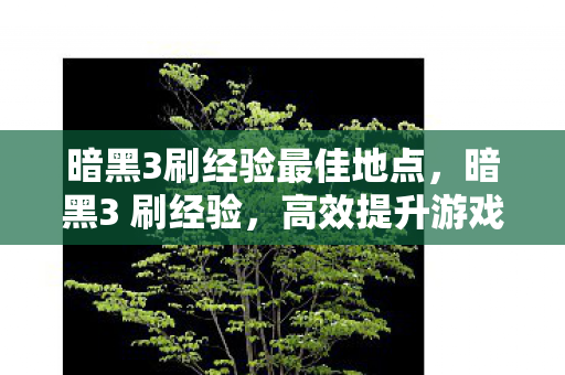 暗黑3刷经验最佳地点,暗黑3 刷经验,高效提升游戏等级的策略与技巧 暗黑3刷经验最佳地点,暗黑3 刷经验,高效提升游戏等级的策略与技巧