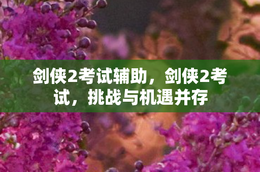 剑侠2考试辅助,剑侠2考试,挑战与机遇并存 剑侠2考试辅助,剑侠2考试,挑战与机遇并存