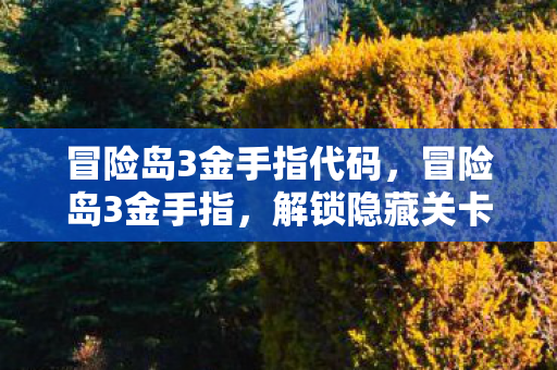 冒险岛3金手指代码,冒险岛3金手指,解锁隐藏关卡与无限金币的秘籍 冒险岛3金手指代码,冒险岛3金手指,解锁隐藏关卡与无限金币的秘籍