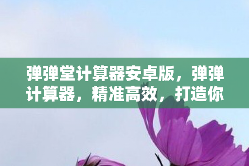 弹弹堂计算器安卓版,弹弹计算器,精准高效,打造你的数字生活新体验 弹弹堂计算器安卓版,弹弹计算器,精准高效,打造你的数字生活新体验