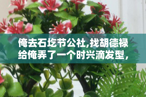 俺去石圪节公社,找胡德禄给俺弄了一个时兴滴发型,游戏世界的平行宇宙,探索官方与私服的独特魅力 俺去石圪节公社,找胡德禄给俺弄了一个时兴滴发型,游戏世界的平行宇宙,探索官方与私服的独特魅力