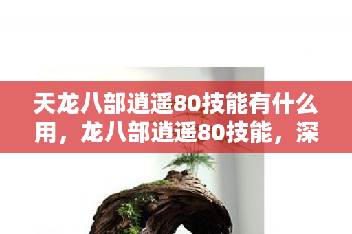 天龙八部逍遥80技能有什么用，龙八部逍遥80技能，深度解析与实战应用