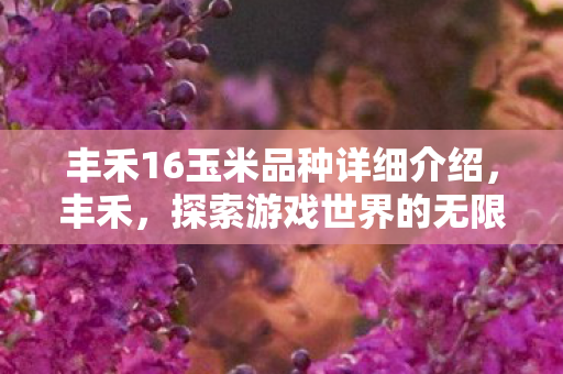 丰禾16玉米品种详细介绍图片