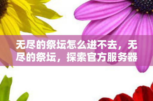 探索官方服务器的进入指南图片