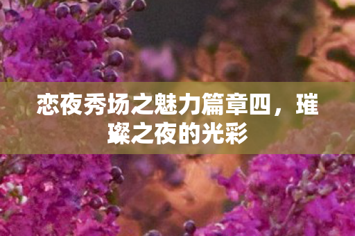恋夜秀场之魅力篇章四,璀璨之夜的光彩 恋夜秀场之魅力篇章四,璀璨之夜的光彩
