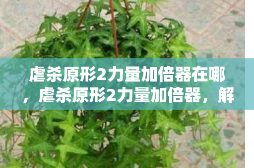 虐杀原形2力量加倍器在哪,虐杀原形2力量加倍器,解锁无限潜能的终极工具 虐杀原形2力量加倍器在哪,虐杀原形2力量加倍器,解锁无限潜能的终极工具