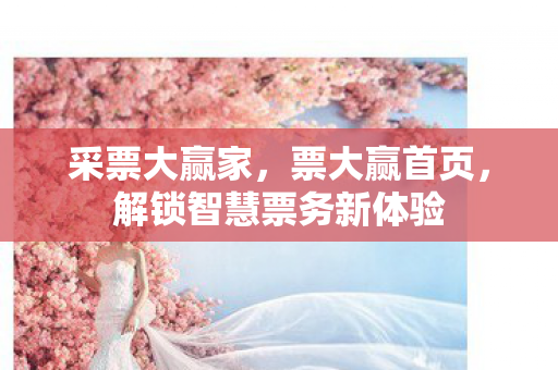 采票大赢家,票大赢首页,解锁智慧票务新体验 采票大赢家,票大赢首页,解锁智慧票务新体验