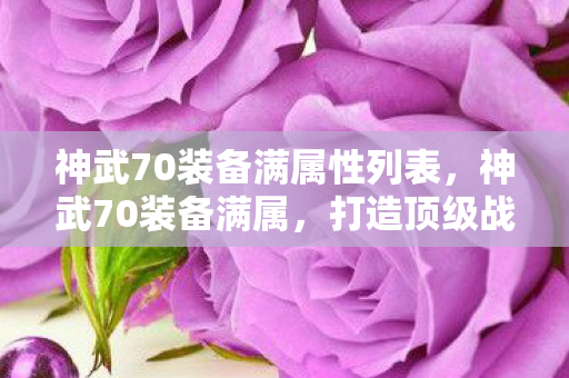 神武70装备满属性列表,神武70装备满属,打造顶级战斗力的关键 神武70装备满属性列表,神武70装备满属,打造顶级战斗力的关键