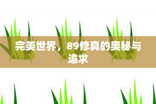 完美世界,89修真的奥秘与追求 完美世界,89修真的奥秘与追求