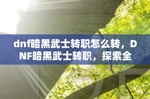 dnf暗黑武士转职怎么转,DNF暗黑武士转职,探索全新战斗风格与技能组合 dnf暗黑武士转职怎么转,DNF暗黑武士转职,探索全新战斗风格与技能组合