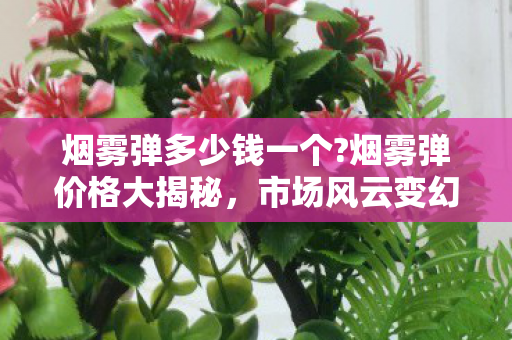 烟雾弹多少钱一个?烟雾弹价格大揭秘,市场风云变幻,价格几何? 烟雾弹多少钱一个?烟雾弹价格大揭秘,市场风云变幻,价格几何?