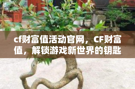 cf财富值活动官网,CF财富值,解锁游戏新世界的钥匙 cf财富值活动官网,CF财富值,解锁游戏新世界的钥匙