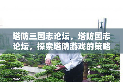 塔防三国志论坛,塔防国志论坛,探索塔防游戏的策略与乐趣 塔防三国志论坛,塔防国志论坛,探索塔防游戏的策略与乐趣