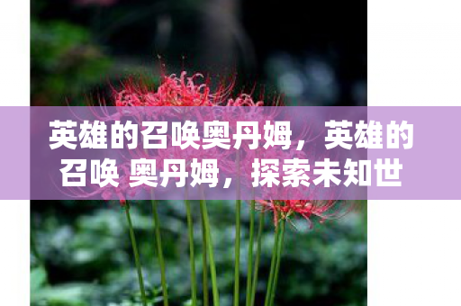 英雄的召唤奥丹姆，英雄的召唤 奥丹姆，探索未知世界的奇幻之旅