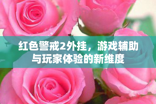 红色警戒2外挂,游戏辅助与玩家体验的新维度 红色警戒2外挂,游戏辅助与玩家体验的新维度