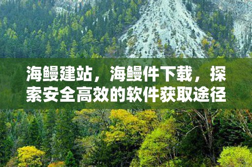 海鳗建站,海鳗件下载,探索安全高效的软件获取途径 海鳗建站,海鳗件下载,探索安全高效的软件获取途径